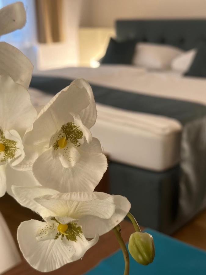 Sweet - A Cozy Welcome Apartment Wien